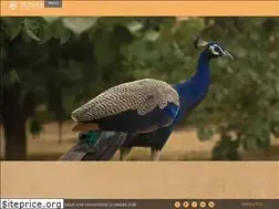 Sites similar to sewara.com