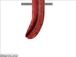 Sites similar to seyedaminbagheri.com
