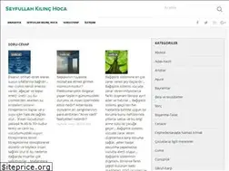 Sites similar to seyfullahkilinchoca.com