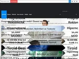 Sites similar to sezginkoyun.com