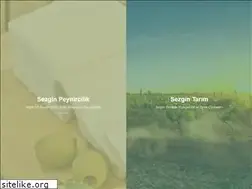 Sites similar to sezginns.com