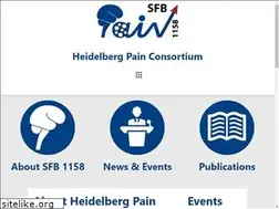 Sites similar to sfb1158.de