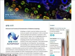 Sites similar to sfb1177.de