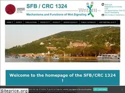 Sites similar to sfb1324.de