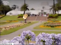 Sites similar to sfbotanicalgardensociety.org