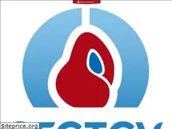 Sites similar to sfctcv.org