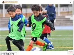 Sites similar to sfida-sc.com