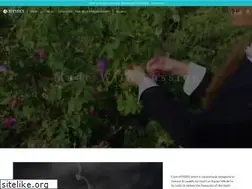 Sites similar to sg.hysses.com
