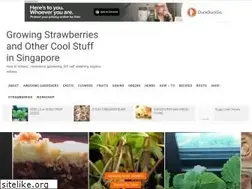 Sites similar to sgstrawberries.com