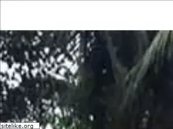 Sites similar to sgwc.edu.bd