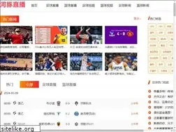 Sites similar to sgykny.com
