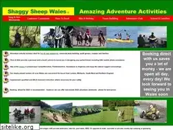 Sites similar to shaggysheepwales.co.uk