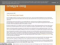 Sites similar to shagya-blog.blogspot.com