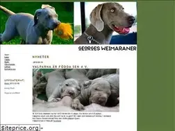 Sites similar to shaheen.se