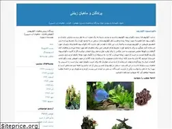Sites similar to shahryamazon.blogfa.com