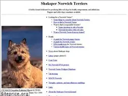 Sites similar to shakspernorwich.net