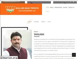 Sites similar to shalabhmanitripathi.com