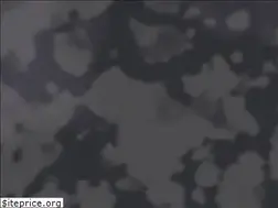 Sites similar to shalomposters.com