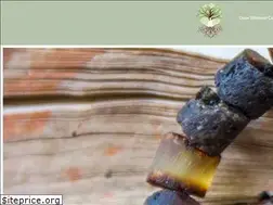 Sites similar to shamanconnect.nl