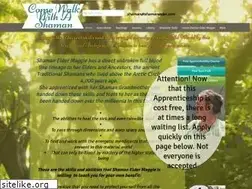 Sites similar to shamanelder.com