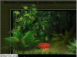 Sites similar to shamanika.biz