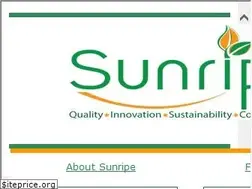 Sites similar to shamit.com