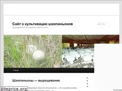 Sites similar to shampinionov.net