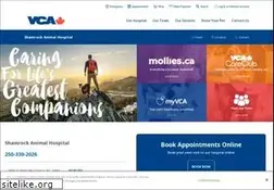 Sites similar to shamrockvetclinic.ca