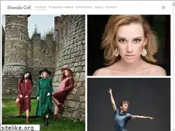 Sites similar to shandacall.com