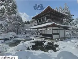 Sites similar to shanecampbellgallery.com