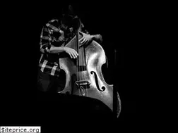 Sites similar to shanecoopermusic.com