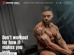 Sites similar to shanesullfitness.com