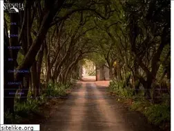 Sites similar to shangrila.co.za
