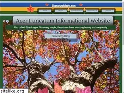Sites similar to shantungmaple.com
