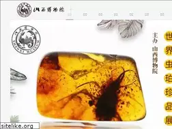 Sites similar to shanximuseum.com