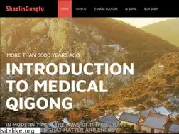 Sites similar to shaolingongfu.com