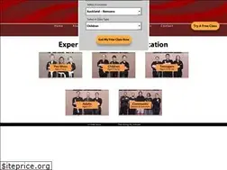 Sites similar to shaolinkungfu.co.nz