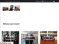 Sites similar to shaolinnpc.co.nz