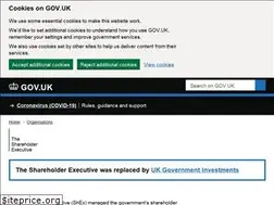 Sites similar to shareholderexecutive.gov.uk