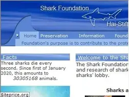 Sites similar to shark.ch