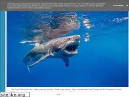 Sites similar to sharkdivers.blogspot.com