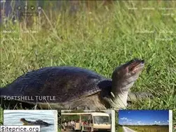 Sites similar to sharkvalleytramtours.com