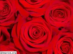 Sites similar to sharlottastock.ru