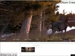 Sites similar to shawnolson.net