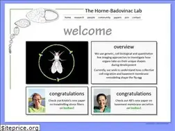 Sites similar to shblab.org
