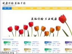 Sites similar to shciming.com