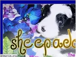 Sites similar to sheepadoodle.com