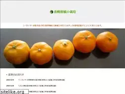 Sites similar to shekwasha.com