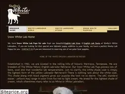 Sites similar to shelbyswhitelabradors.com