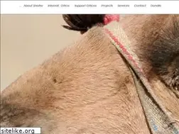 Sites similar to shelter-now.org